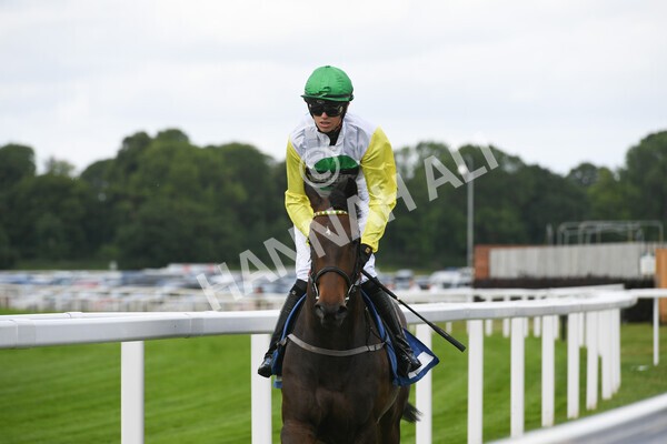 yr11062022r2-27 - Race 2 2.00pm Queen Mother's Cup