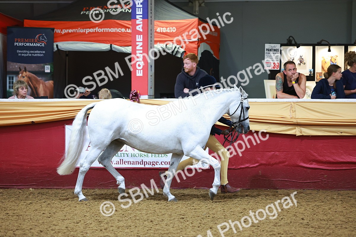 SBM_14699 - Class B - Junior Champ 11 to 16 Years