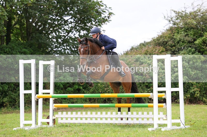 3E7A7375 - Class 5: Senior British Novice/90cm open