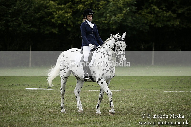 BVR080918 289 - BVRC Novice Dressage & CR 08/09/18
