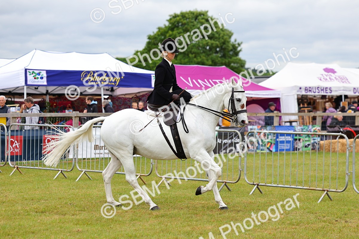 SBM_02935 - Class 9-11 Side Saddle including LIHS Rising Star Ladies Show Horse