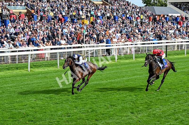 190826-Race 5-Small Fry-0660 - Race 5 16.10pm Sky Bet Stayers Handicap