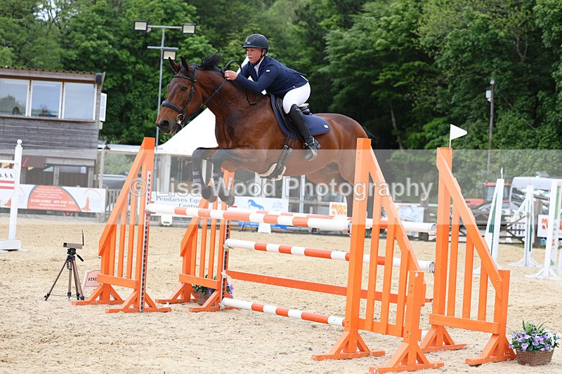 3E7A9693 - Class 9: Senior Foxhunter/1.20 open