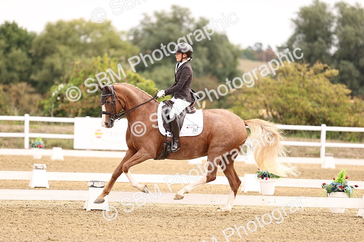 SBM_011531 - Class 1 - Medium 5