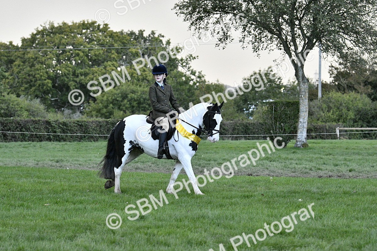 SBM_53315 - S14 - Riding Club Horse