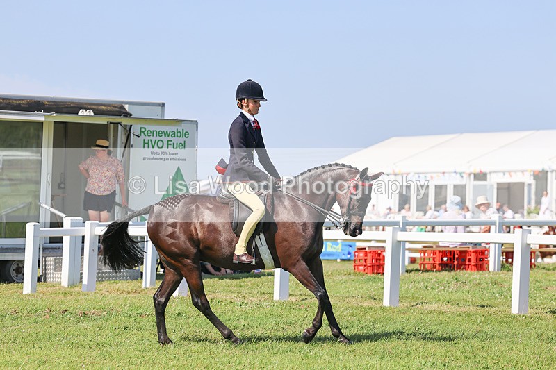 IMG_1885 - Class 33: Show Pony 148cm and under