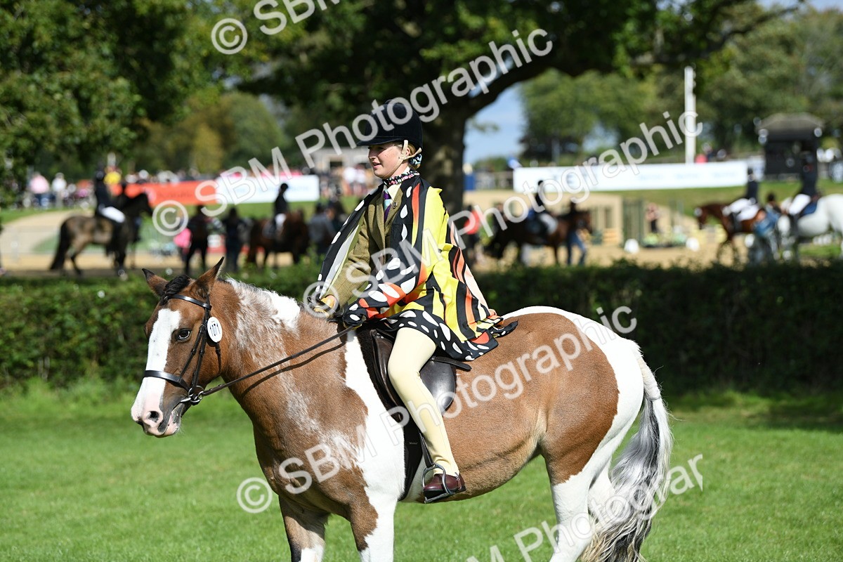 SBM_47122 - S12 - Family Horse & Pony