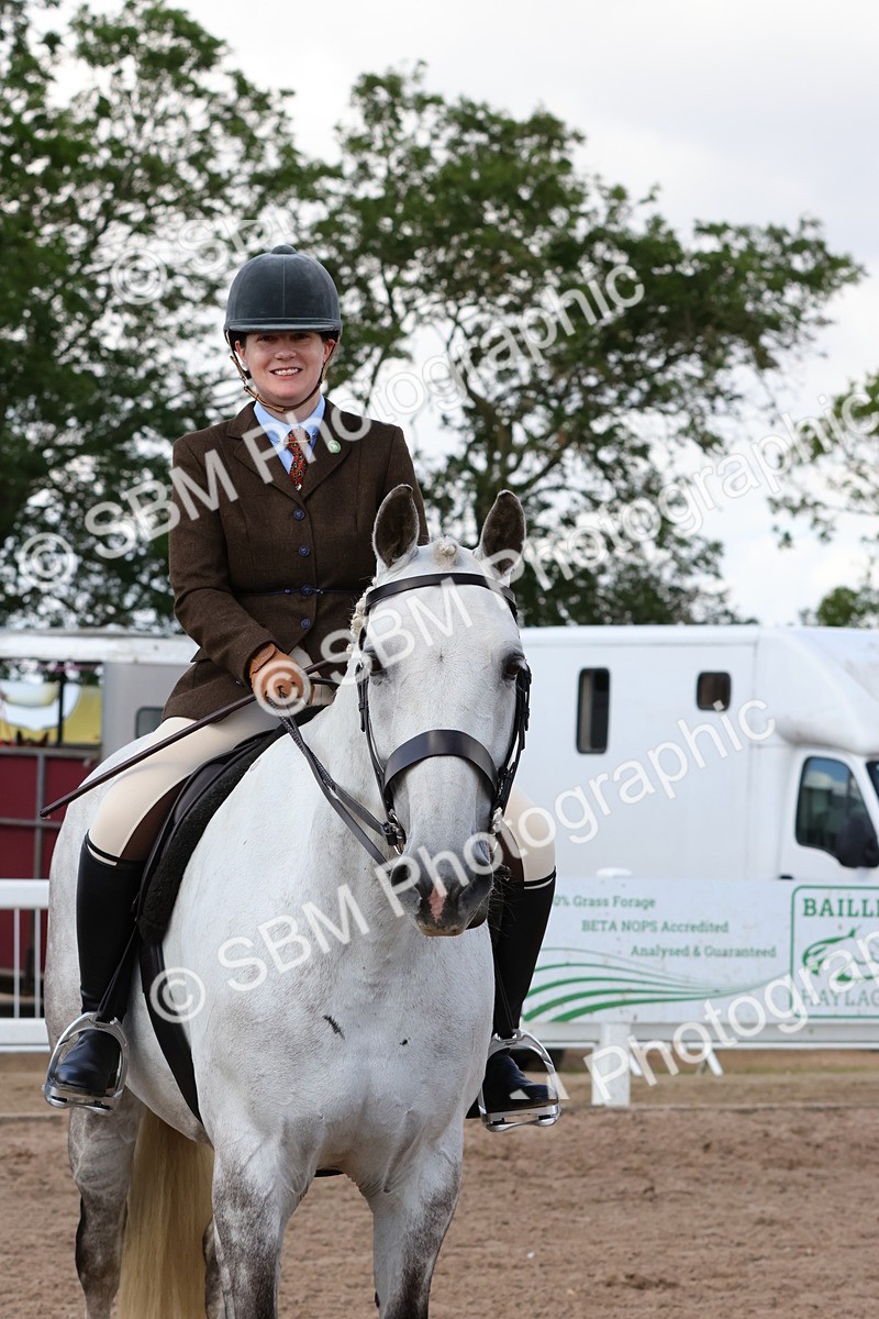SBM_13534 - Class 212 - Ridden Hunter  - Large