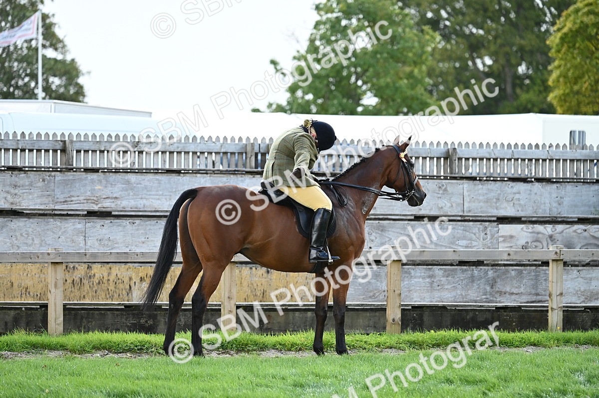 SBM_01677 - S2 - TSR Ridden Horse Showing