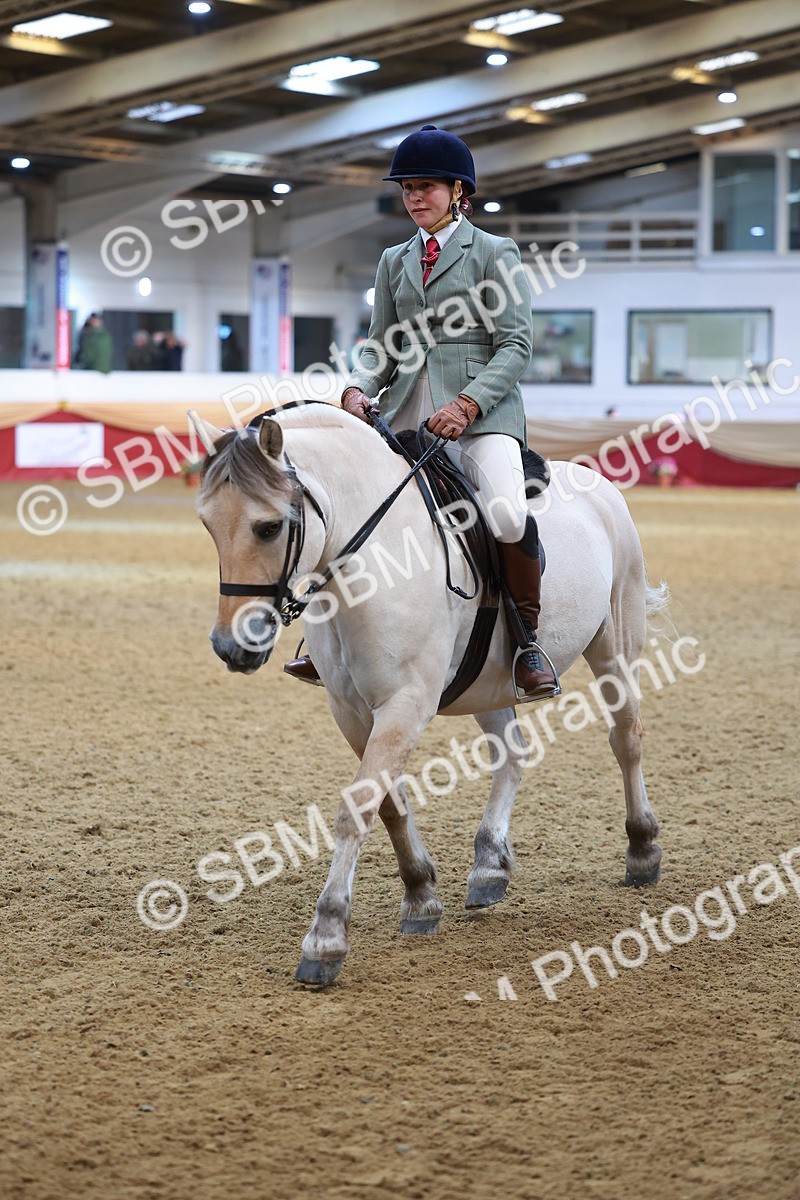 SBM_09515 - Class 102 - HOYS Veteran Qualifier - Ridden Veteran