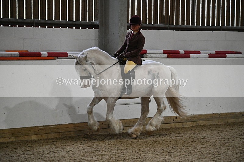 WJ7_4194 - Class 17 Ridden Cob