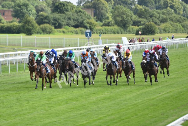 yr09072021r5-40 - Race 5: 4.20pm Garbutt + Elliott Stakes