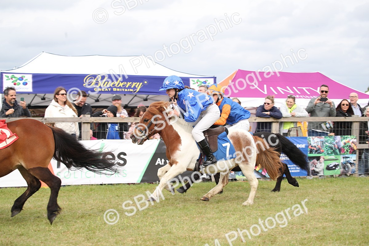 SBM_10008 - Dinky Derby