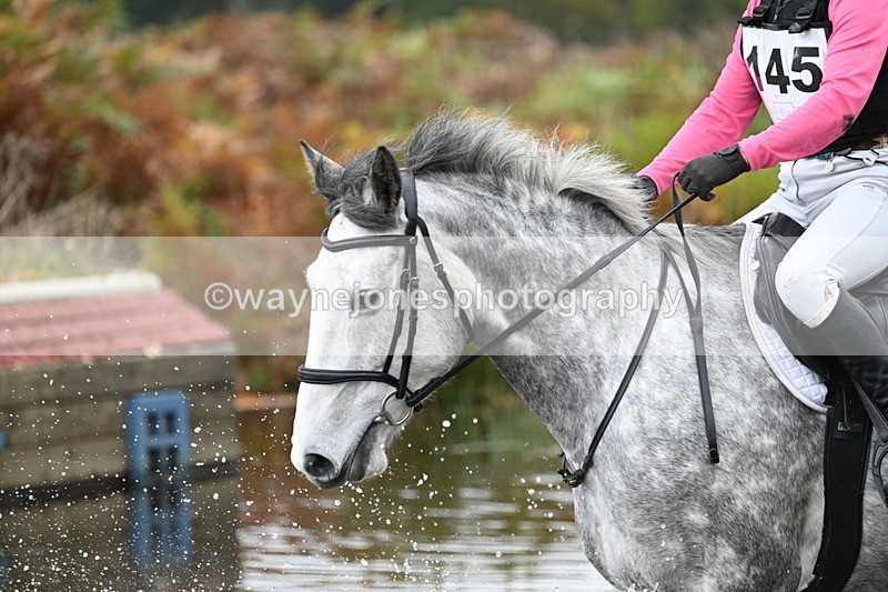 WJ7_1133 - 80cm Cam 2 Water Time 11:29 to 11:46