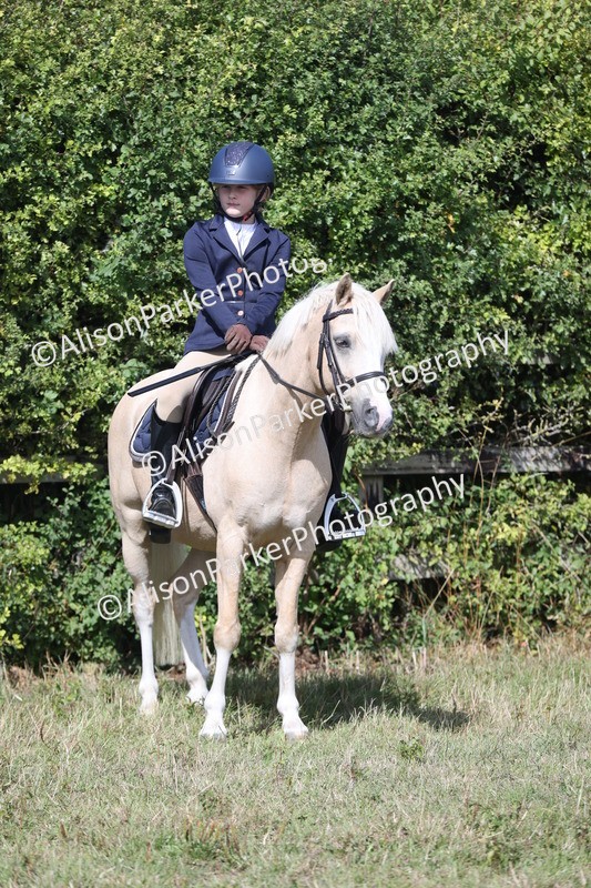 20250831-2518 - Class 16 - Family Pony