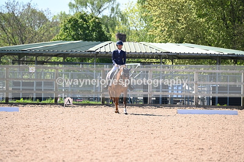 WJ6_8162 - Class 2 time 11:00 to 11:15