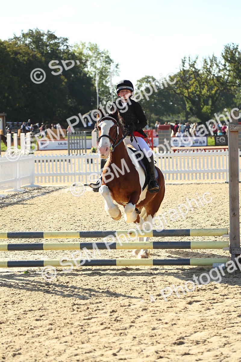 SBM_35950 - J5 - Junior Pony 50cm Championship