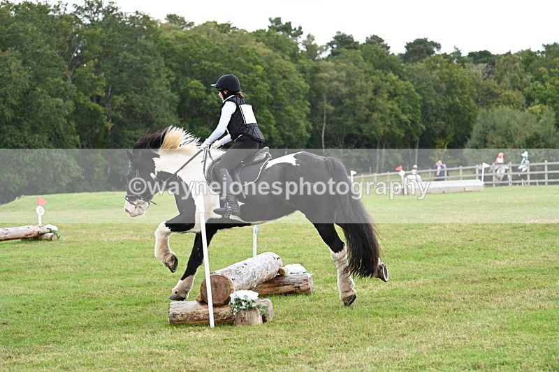 WJ7_8398 - 60cm Time 12:11 to 12:30