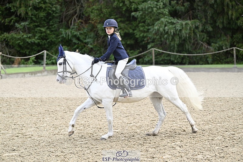 251005A-091201-02987 - Cls 02 GR 50cm