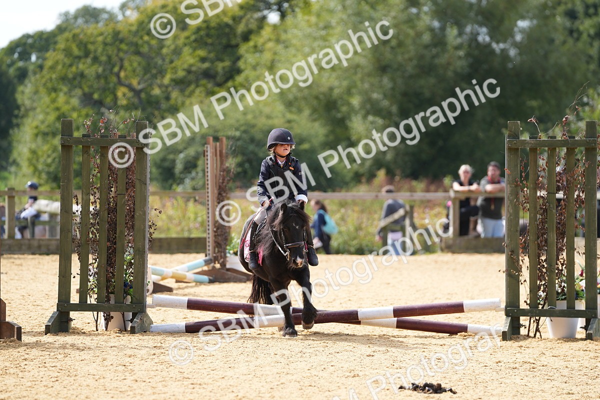 SBM_65768 - J2 - Mini Tour Junior Pony 30cm Championship