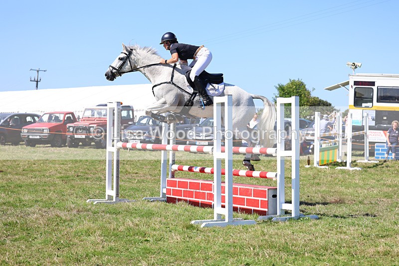 3E7A6390 - Class 13: Senior Newcomers/1.10m open