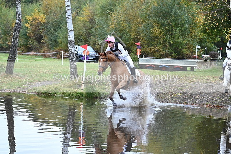 WJ7_1964 - 80cm Cam 2 Pairs Time 12:18 to 12:43