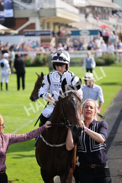 yr05092021r1-3 - Race 1 2.10pm IRE-Incentive It Pays To Buy Irish ebfstallions.com Novice Stakes