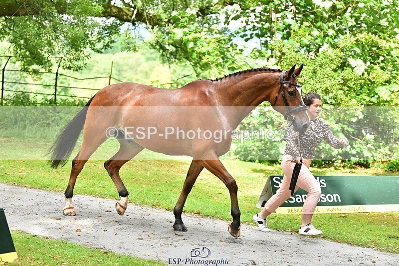 240522-153824-00489 - 382-WIL_JACK_B_KING-Charlotte_Parry-Ashcroft