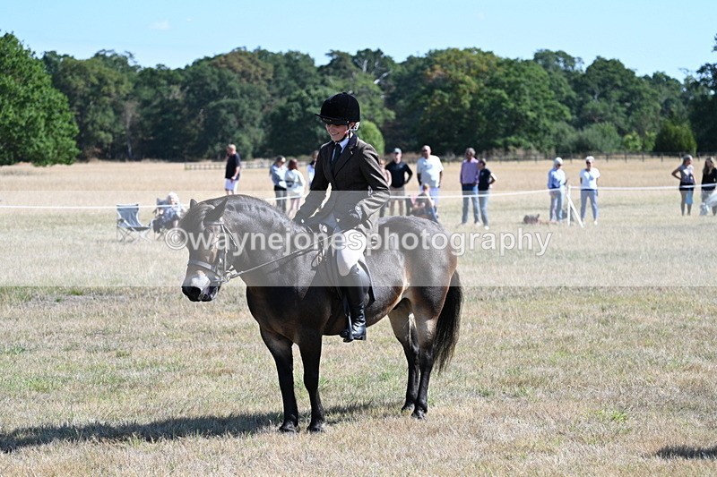 WJ7_3974 - Class 9 Mountain & Moorland Ridden