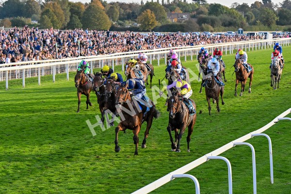 111025-Race 7-Lets Dream-0710 - Race 7 Coral 'Committed To Safer Gambling' Finale Handicap at York