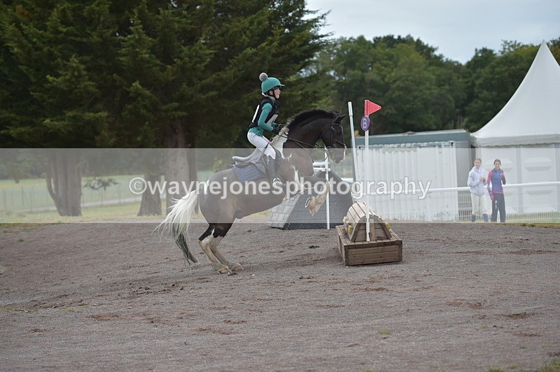 NGP_2735 - XC Time 11:37 to 11:57