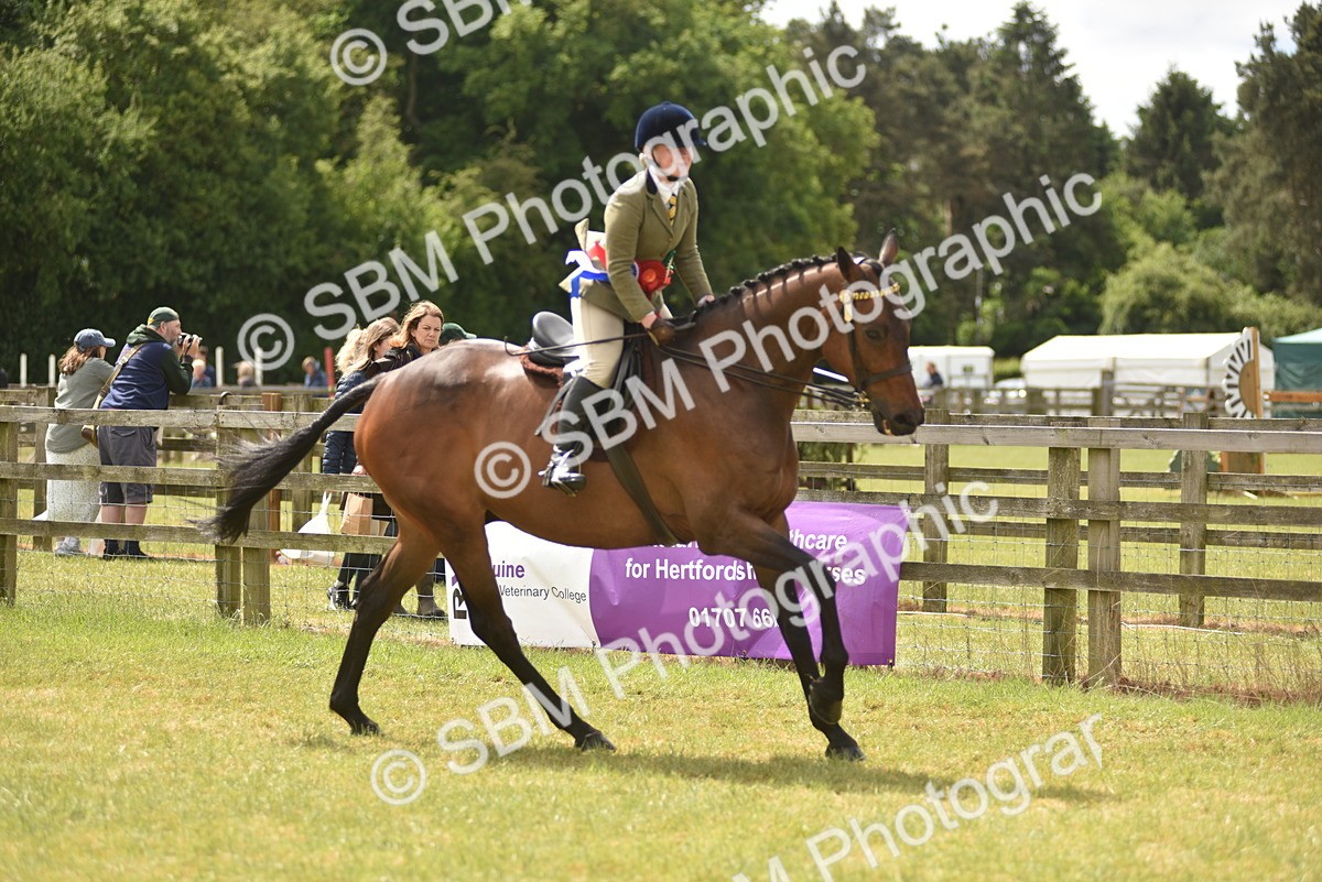 SBM_14297 - Class 113-114 - Retraining of Racehorses Ridden