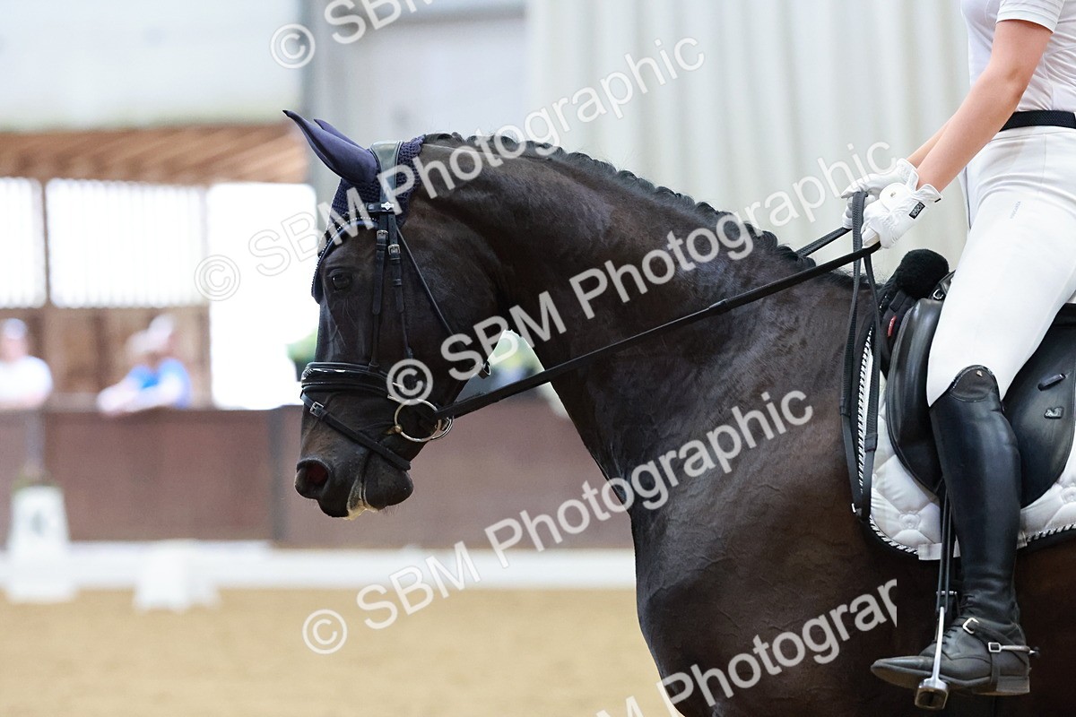 SBM_002362 - Novice 2 - Elementary 1