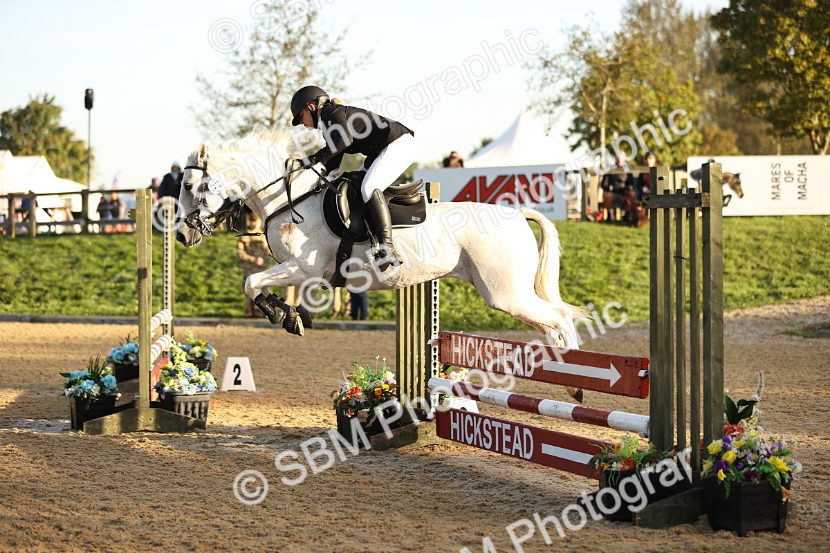 SBM_32903 - J38 - Senior 80cm Championship
