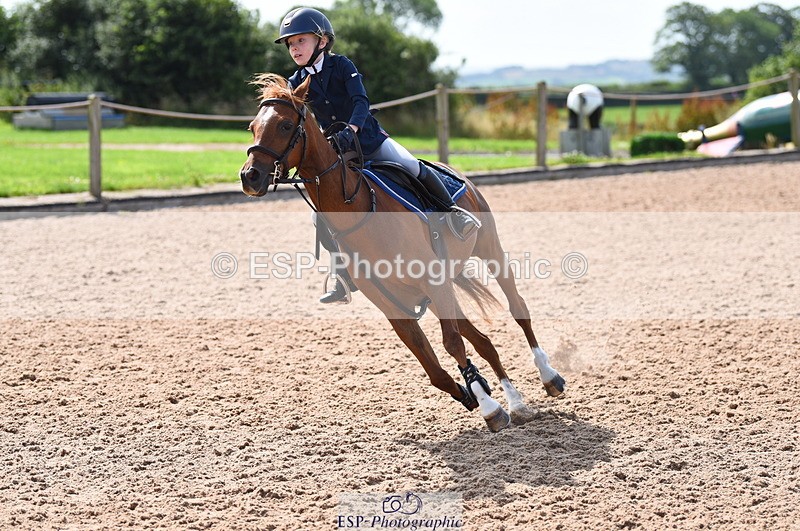 230716A-100558-01962 - Cls 35 Springboard 128cm & 138cm