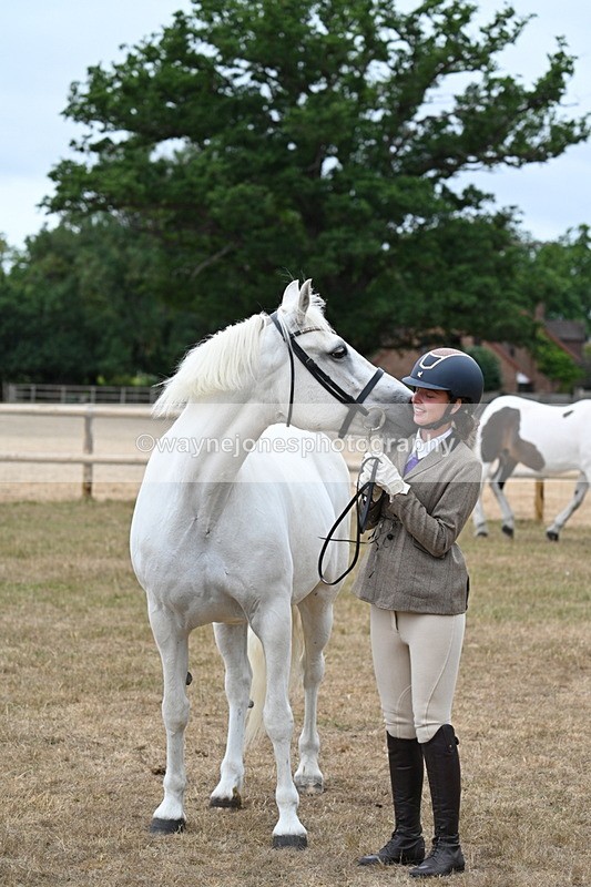 WJ7_9128 - Class 4a Prettiest Mare 14.2hh and over