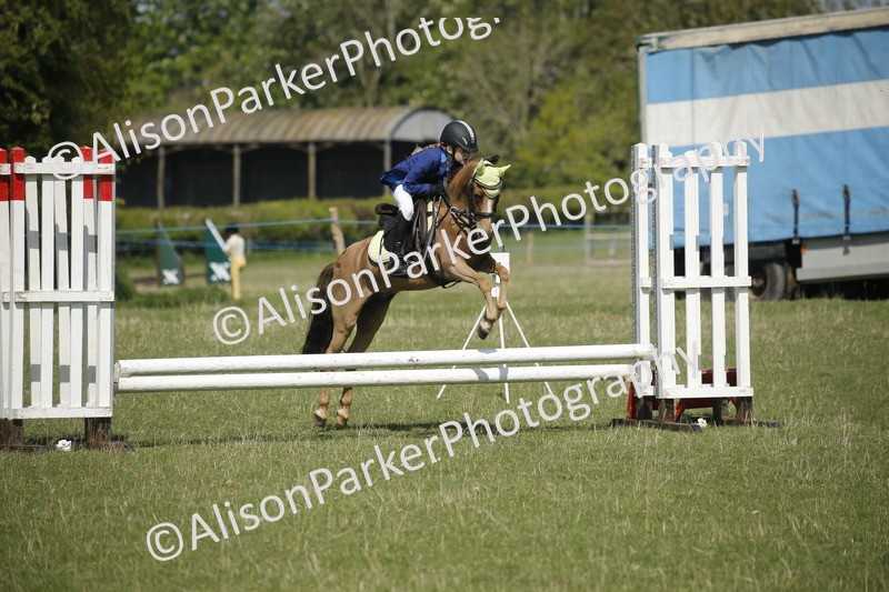 20250427-2112 - Class 13 - Novice Jumping 60cm