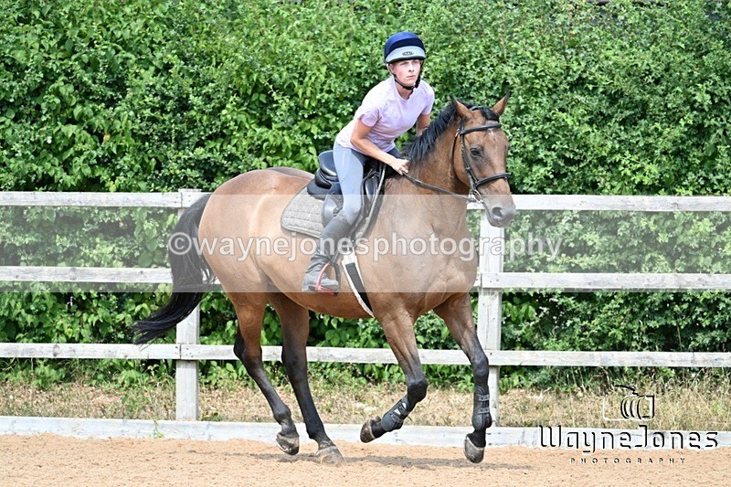 WJ7_6589 - Show Jumping at BCA