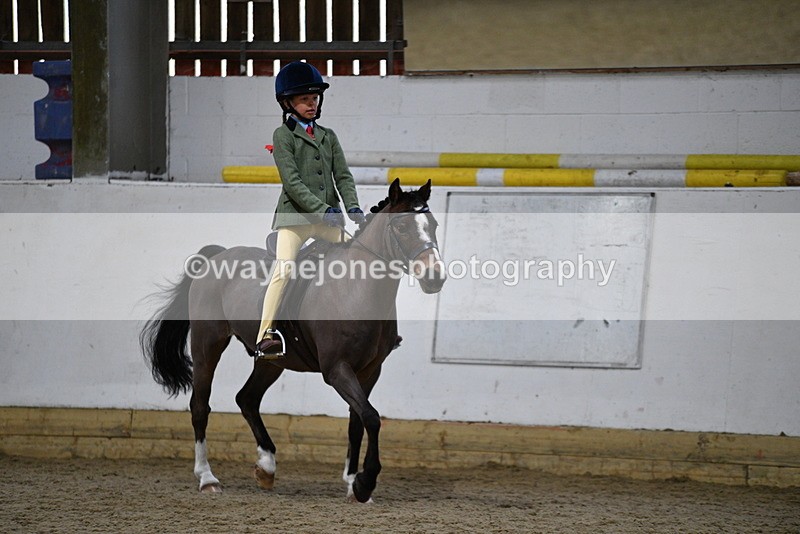 WJ5_7188 - Class 11 Ridden PC - RC Pony