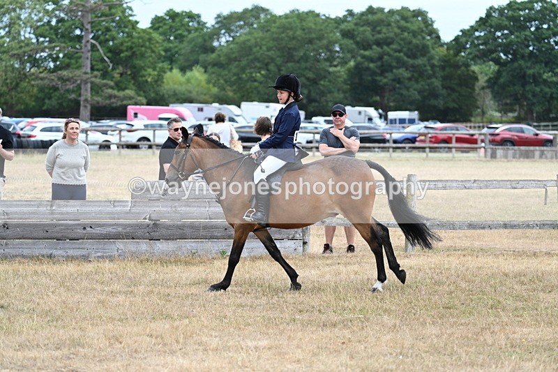 WJ7_7226 - Class 2 Best Rider