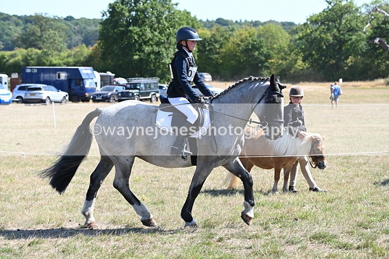WJ6_8298 - Class 37a Best Loan Pony Ridden