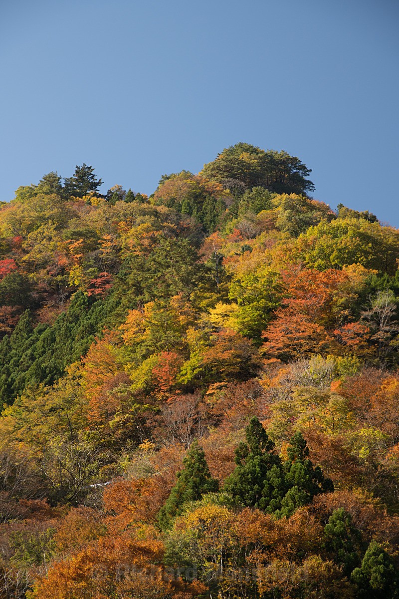  - Japan