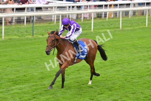 yr19082021r4-50 - Race 4 3.35pm Darley Yorkshire Oaks (British Champions Series race)