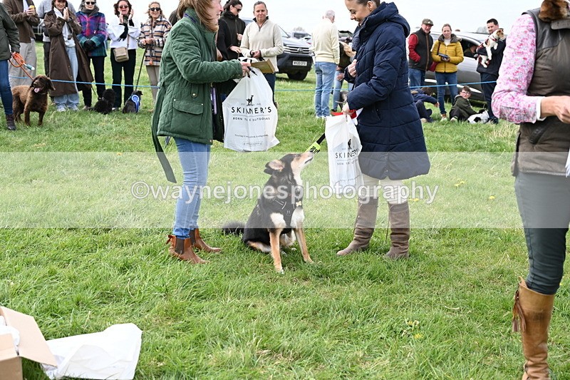 WJ6_8582 - Class 6 Best Rescue