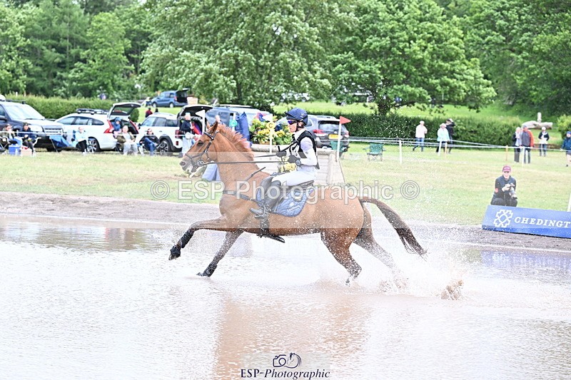 250525A-125252-16118 - D-453-Daisy.Berkeley-DIESE.DU.FIGUIER