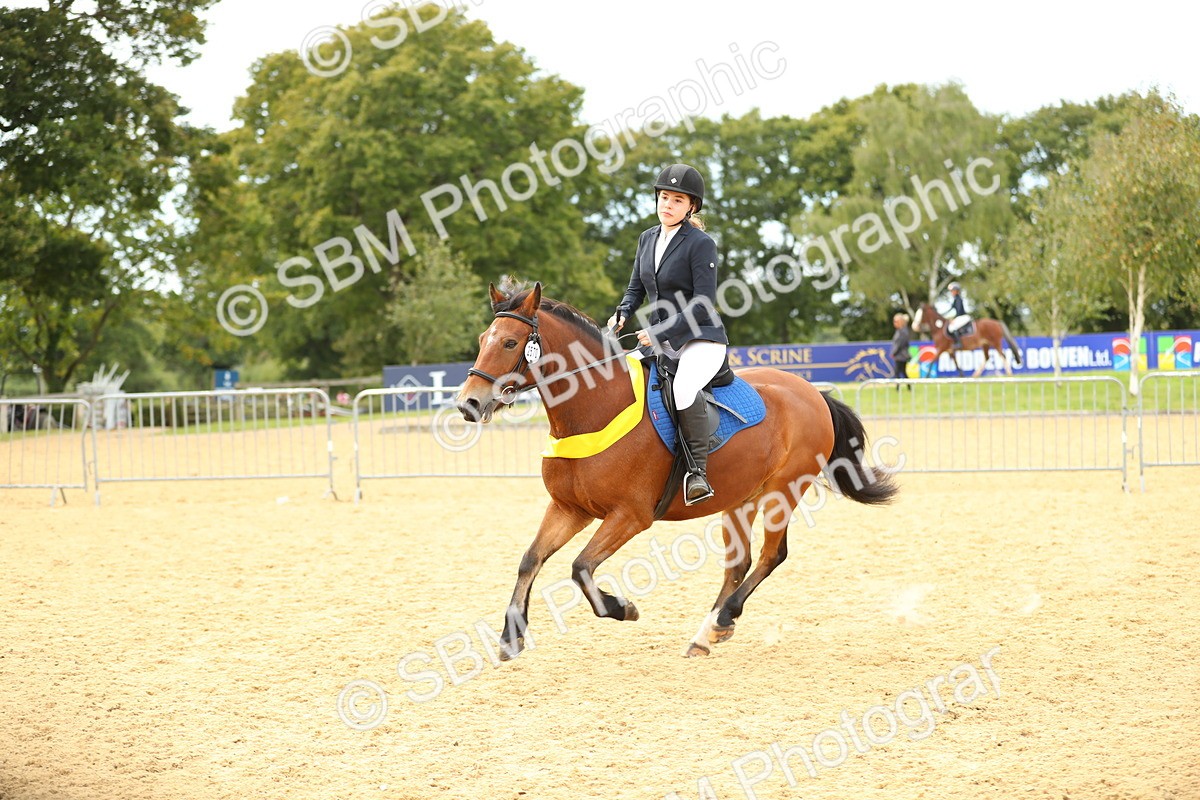 SBM_71341 - J18 - Junior Pony 85cm Championship