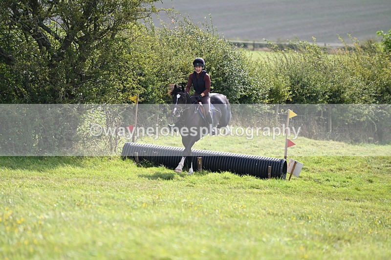 WJ6_7432 - Time 11:29 to 11:45