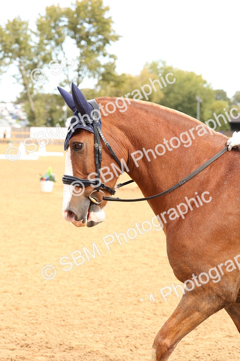 SBM_40624 - D6 - Small Tour Championship Intro 4