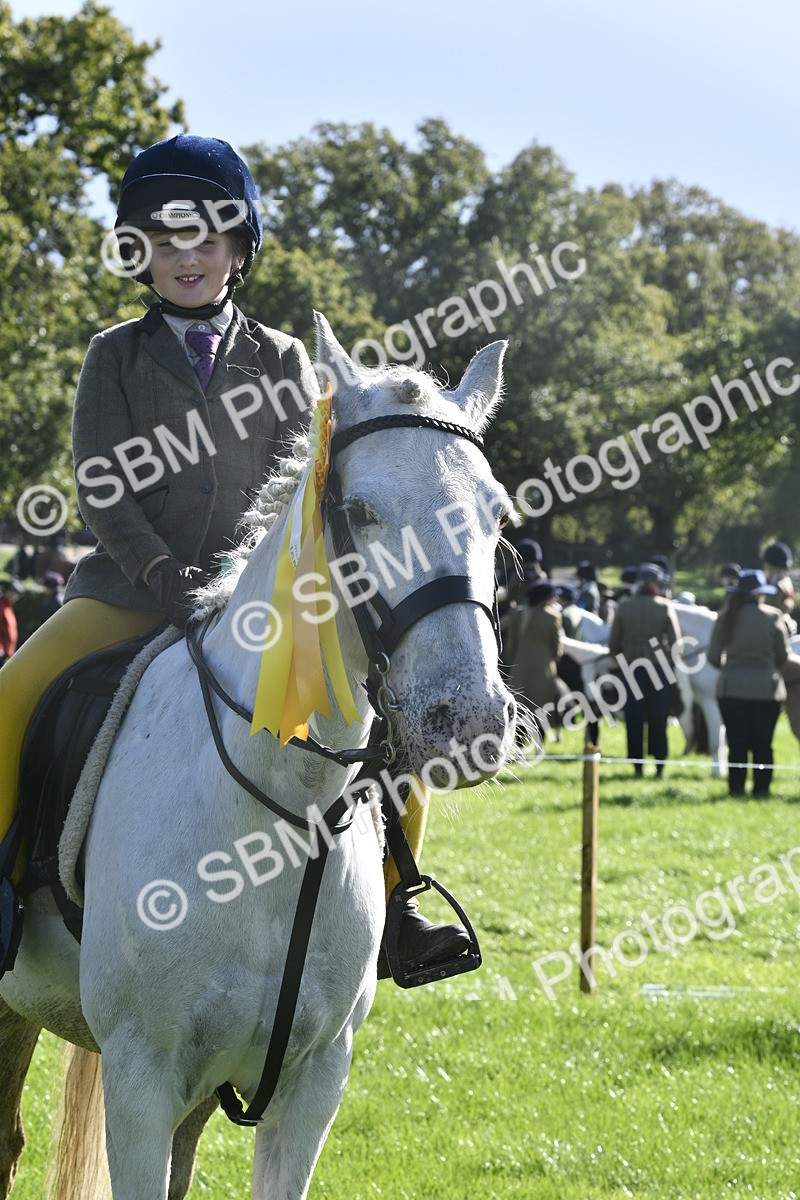 SBM_37239 - S31 - Novice & Newcomer Working Hunter Pony