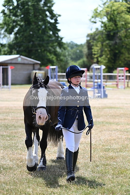 WJ7_2155 - Class 5 Most Handsome Gelding (up to 14.2hh) in hand
